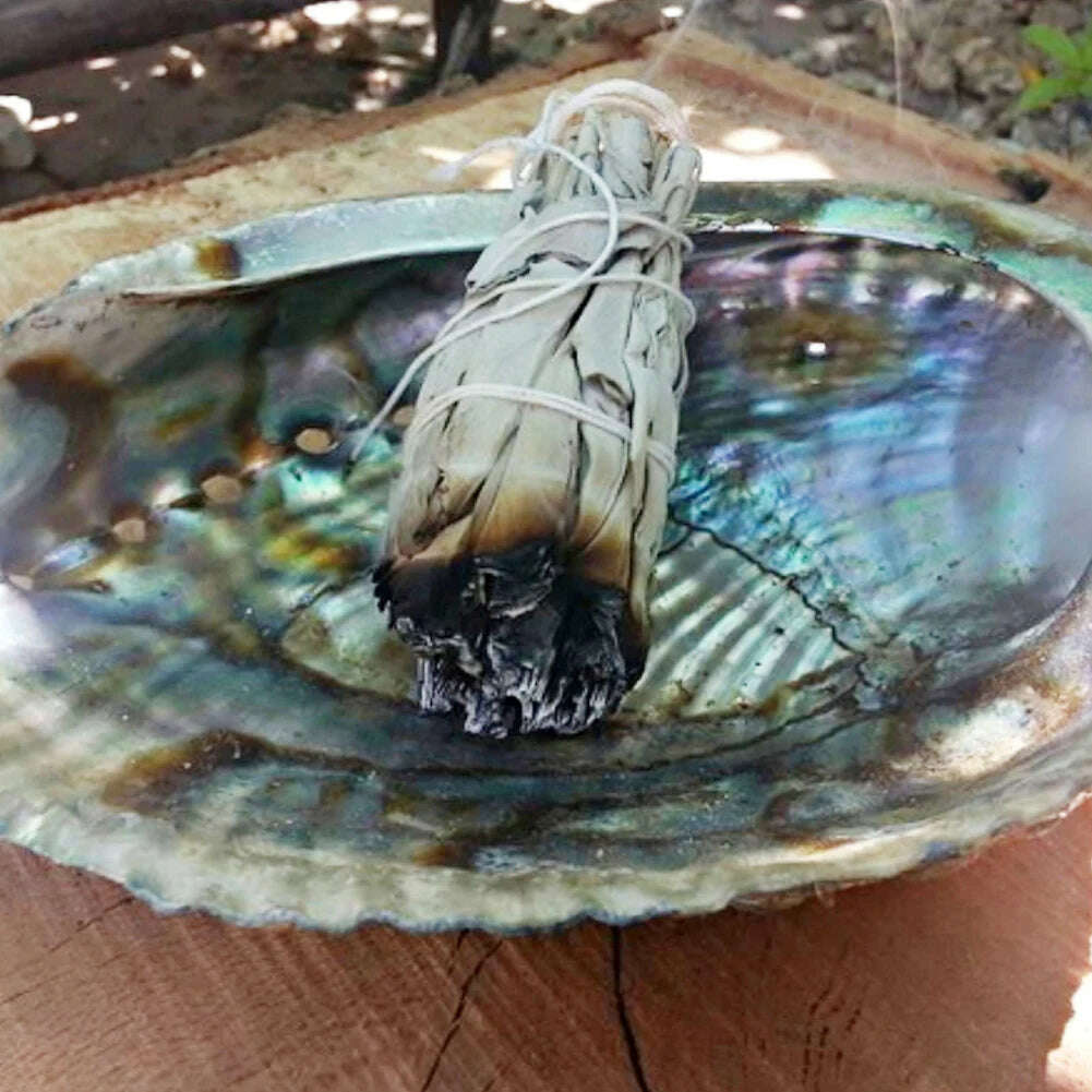 1-40PCS 10.5cm Natural White Sage Bundle Smudge Sticks Pure Leaf Smoky For Yoga Home Cleansing Healing Meditation Smudging - KIMLUD