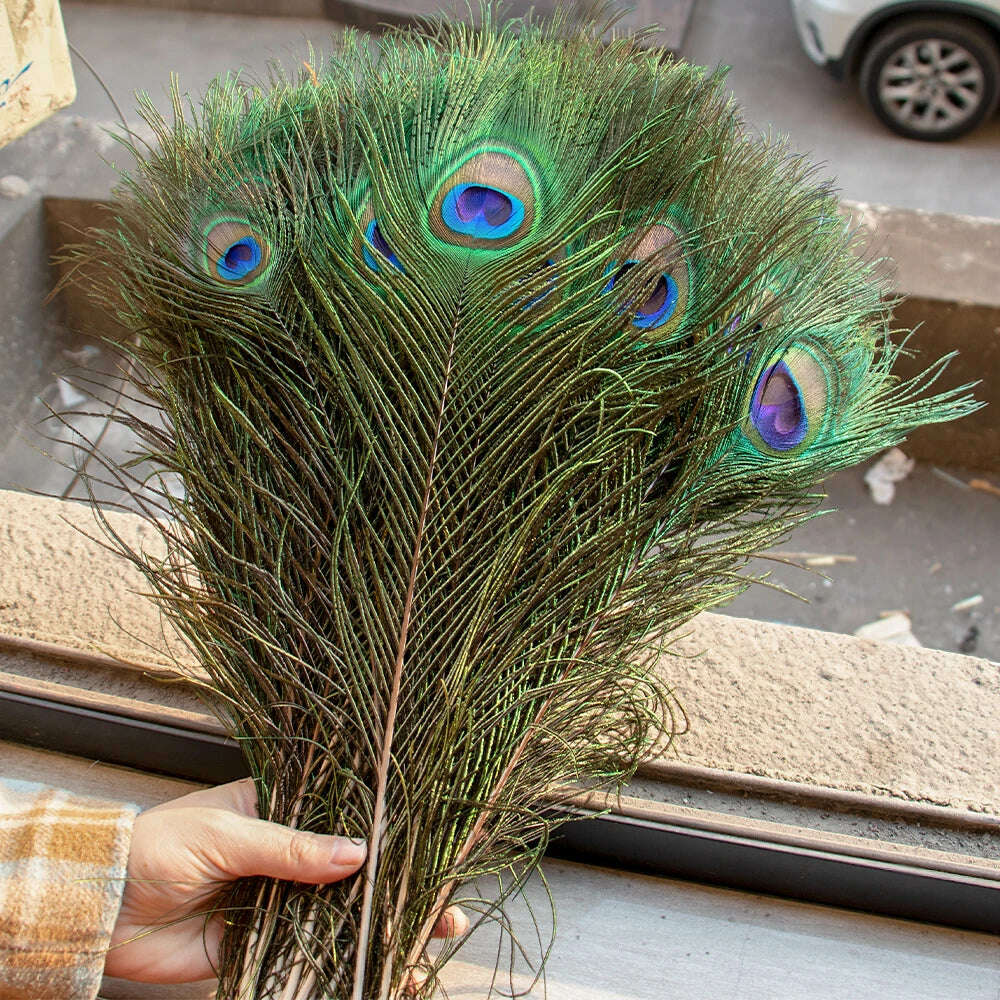 10PCS Real Peacock Feather 25-50cm for DIY Craft Jewelry Vase Table Decor Plume stage perform Wedding clothing Dress Accessories - KIMLUD