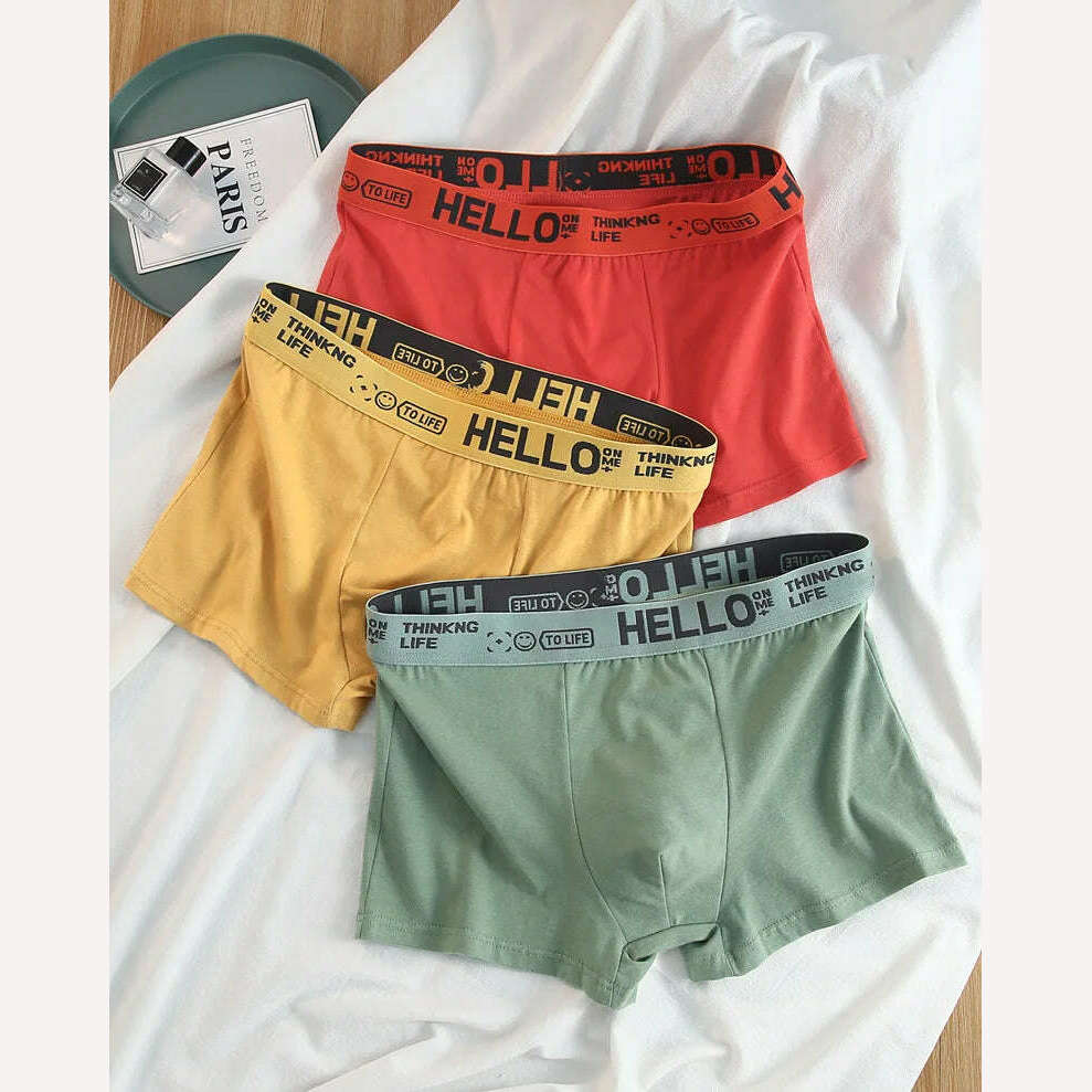 KIMLUD, 12 pieces Mens Underwear Men Cotton Underpants Male Pure Men Panties Shorts Breathable Boxer Shorts Comfortable soft Plus size, KIMLUD Womens Clothes