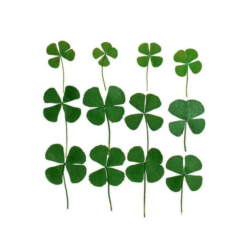 KIMLUD, 12/24PCS,Real Natural Dried Pressed Flowers Lucky Four Leaf Clover Branch,Dry Press Green Leaves DIY For Epoxy Resin, Candle, KIMLUD Womens Clothes