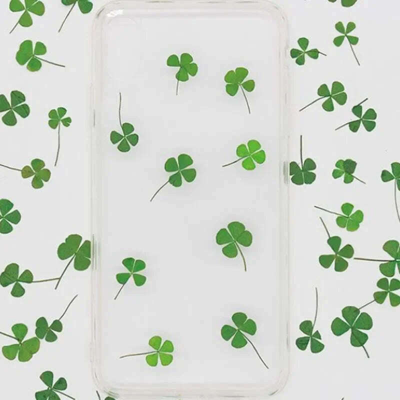 KIMLUD, 12/24PCS,Real Natural Dried Pressed Flowers Lucky Four Leaf Clover Branch,Dry Press Green Leaves DIY For Epoxy Resin, Candle, KIMLUD Womens Clothes