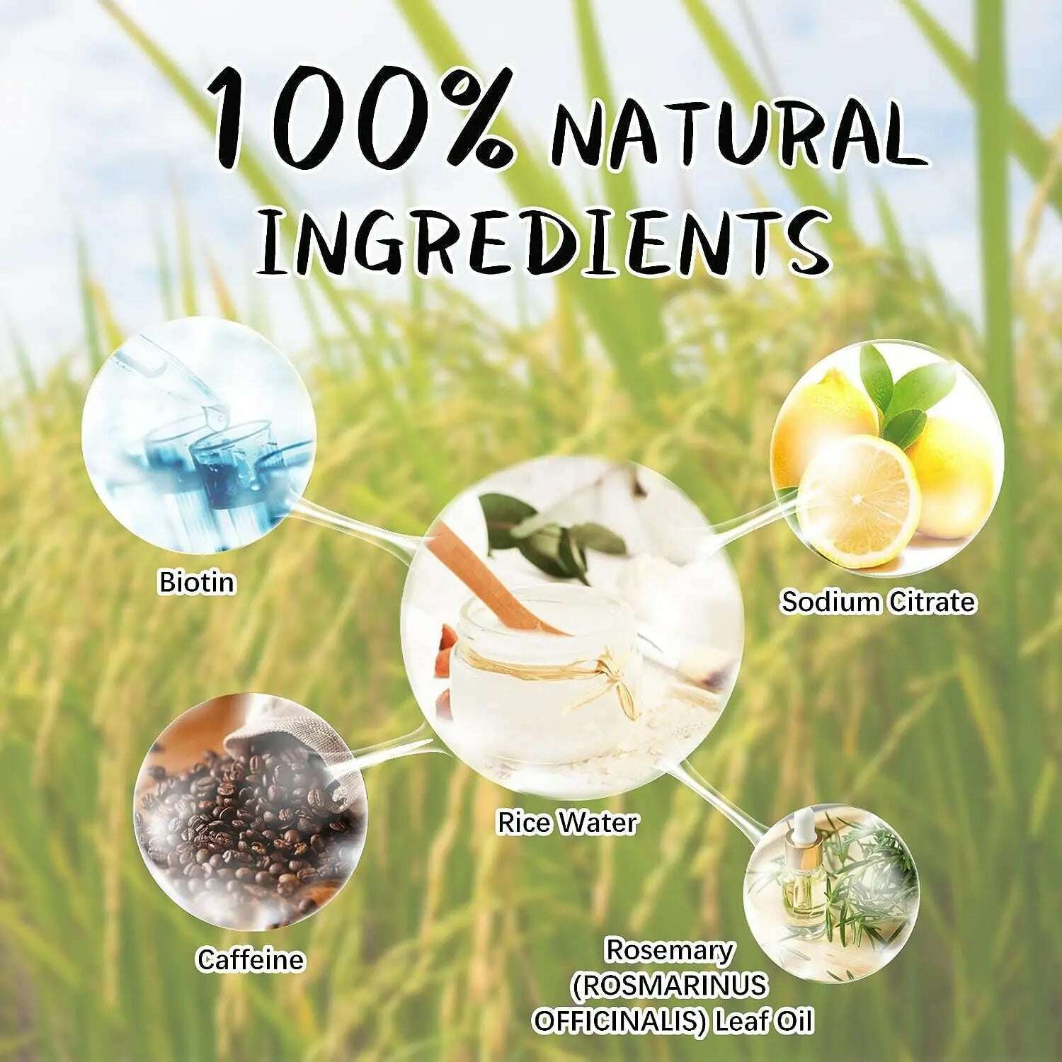 KIMLUD, 300ml Tradition Wash Rice Water Hair Shampoo Anti Hair Loss Treatment Fast Growth Anti Dandruff Shampoo Professional Hair Care, KIMLUD Womens Clothes