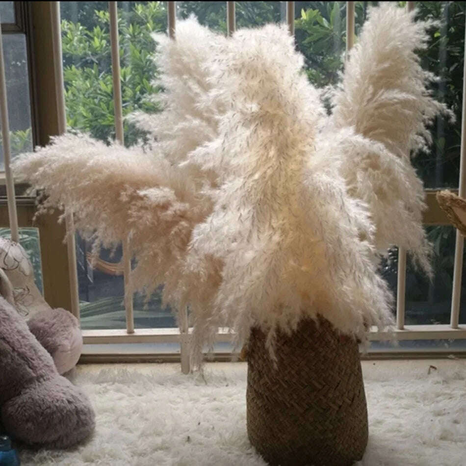 KIMLUD, 60cm Fluffy Tall Pampas Decor Large Natural Dried Pampas Grass Artificial Flowers,Boho Home Wedding Decor Room Table Decoration, 60cm NO Vase 1 / 10pcs, KIMLUD Womens Clothes