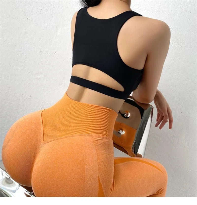 Knit Cloud Hide Sports Bra Crop Top With Pads — White | KIMLUD