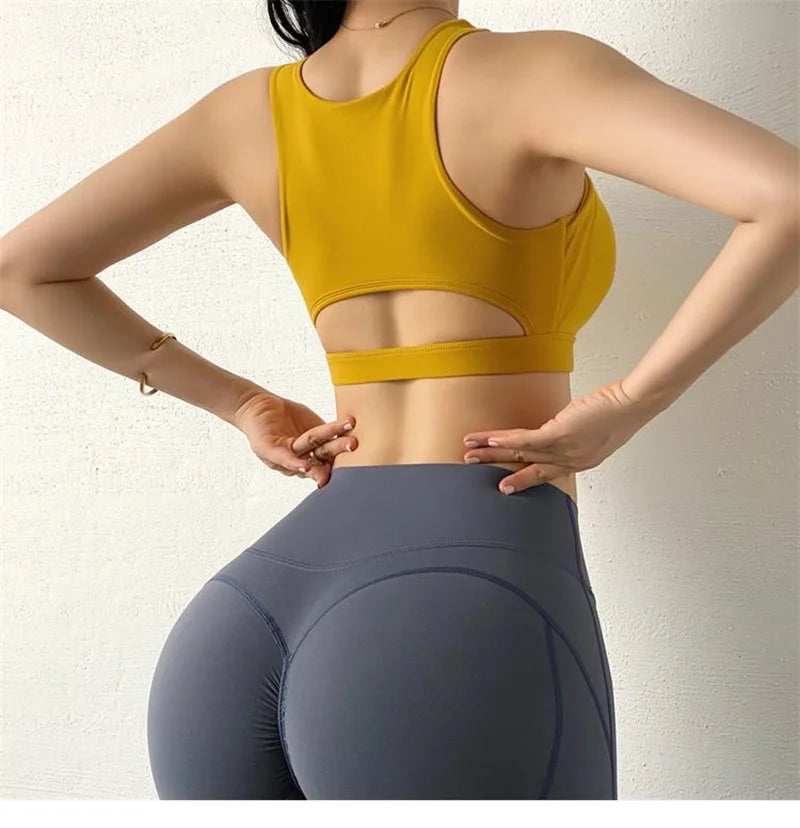 Knit Cloud Hide Sports Bra Crop Top With Pads — White | KIMLUD