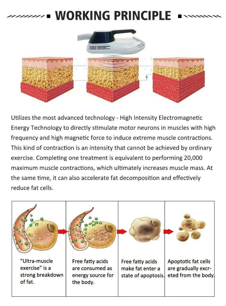 kimlud-hot-selling-professional-high-frequency-shaping-body-whole-body-muscle-lifting-tightening-beauty-medical-machine-kimlud-womens-clothes-35044859