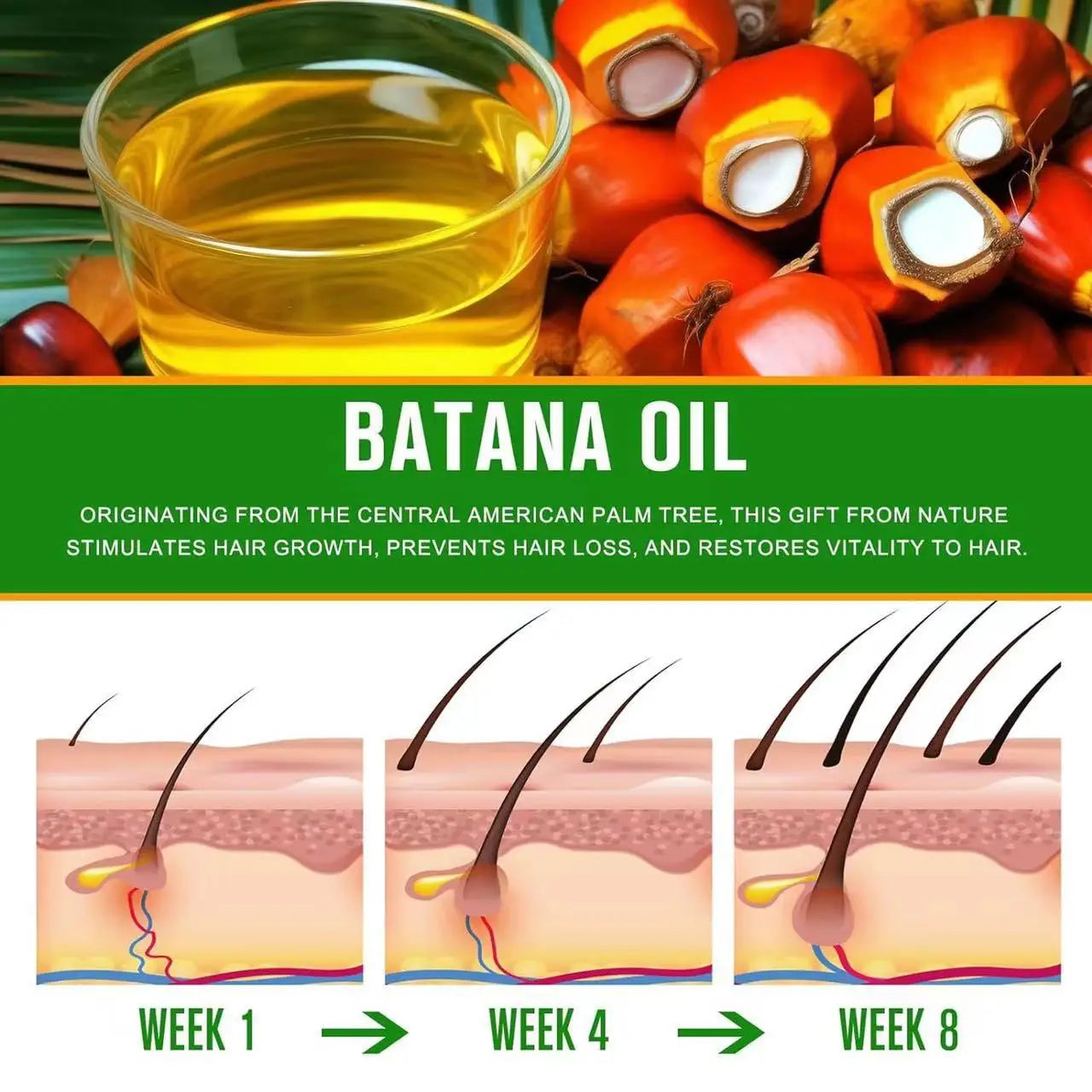 Raw Batana Oil Hair Growth Oil — Golden Amber | KIMLUD