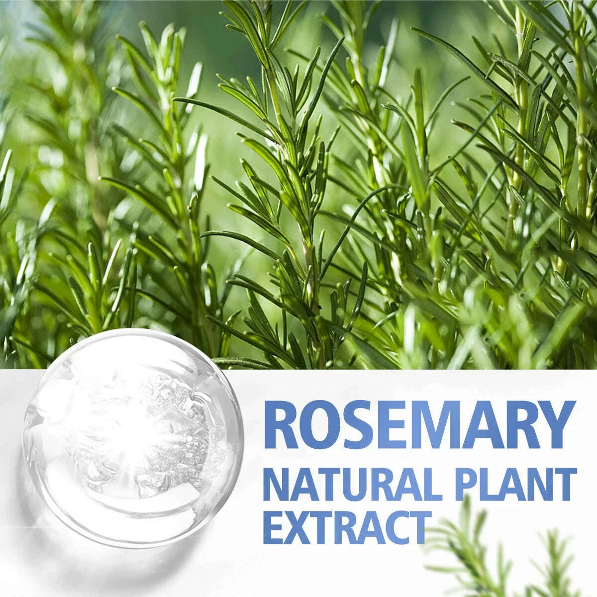 rosemary-essential-oil-hair-care-scalp-massage-skin-care-high-quality-essential-oil-suitable-for-all-hair-types-nourishing-carekimludkimlud-35560098