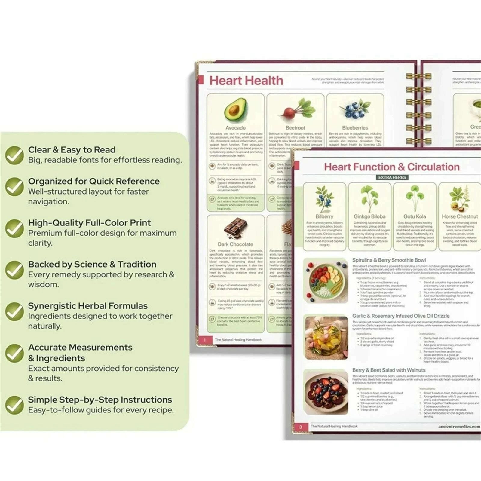 natural-healing-guide-spiral-bound-herbal-book-with-step-by-step-recipes-for-heart-health-blood-pressure-and-focus-enhancementkimludkimlud-35577139