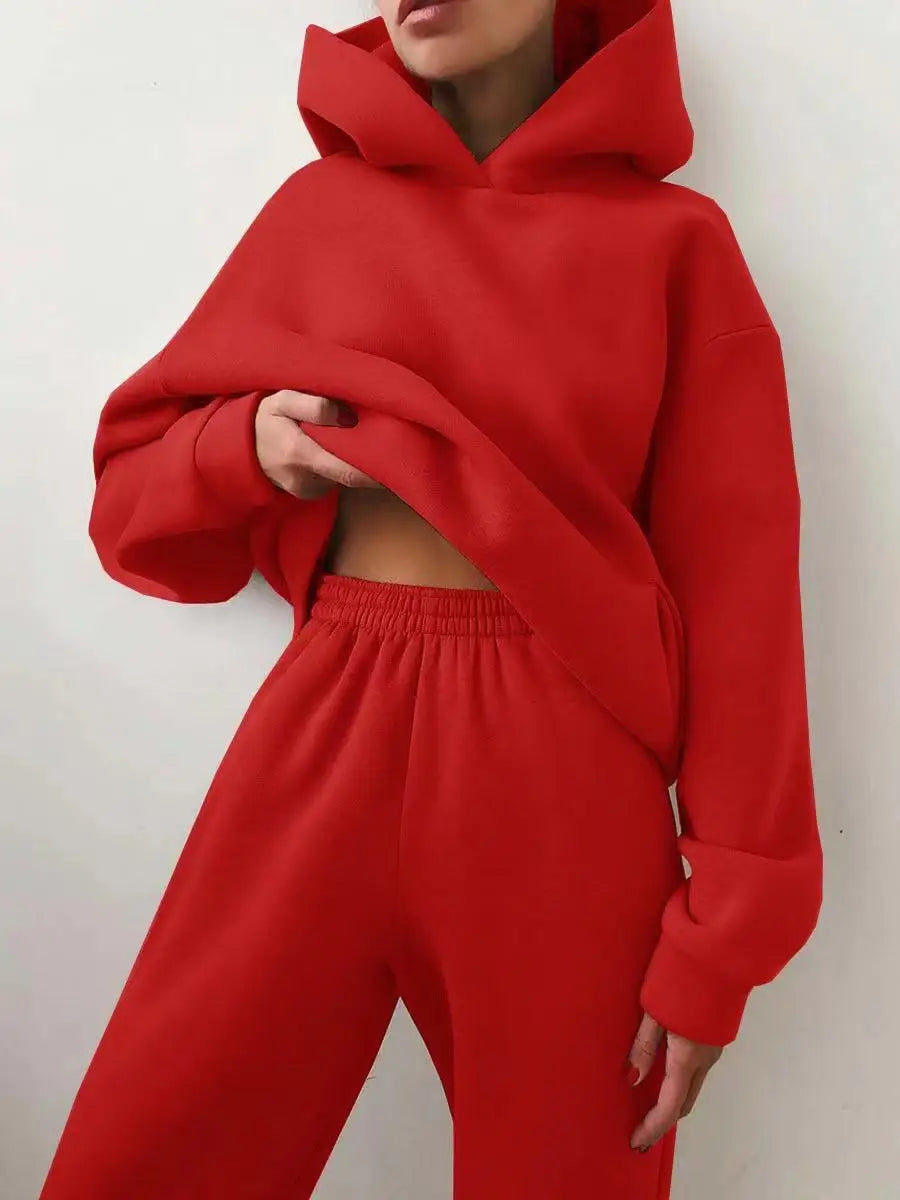 Oversized Tracksuit Set Two Piece Winter Fleece Hoodie and Sweatpants Cozy Warmth — Beige | KIMLUD