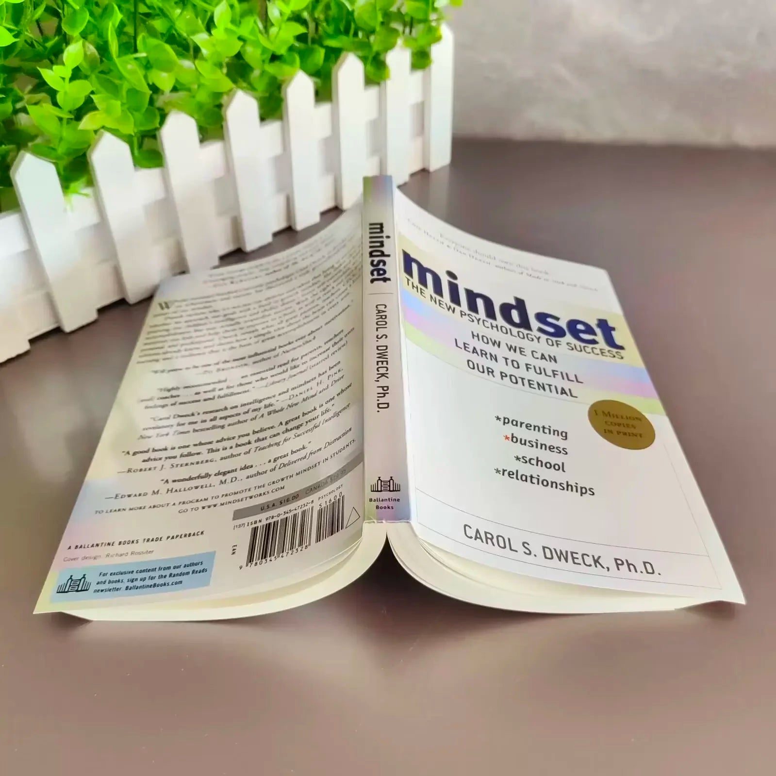 Mindset The New Psychology Of Success English Book by Carol S. Dweck Foreign Literature Inspirational Book