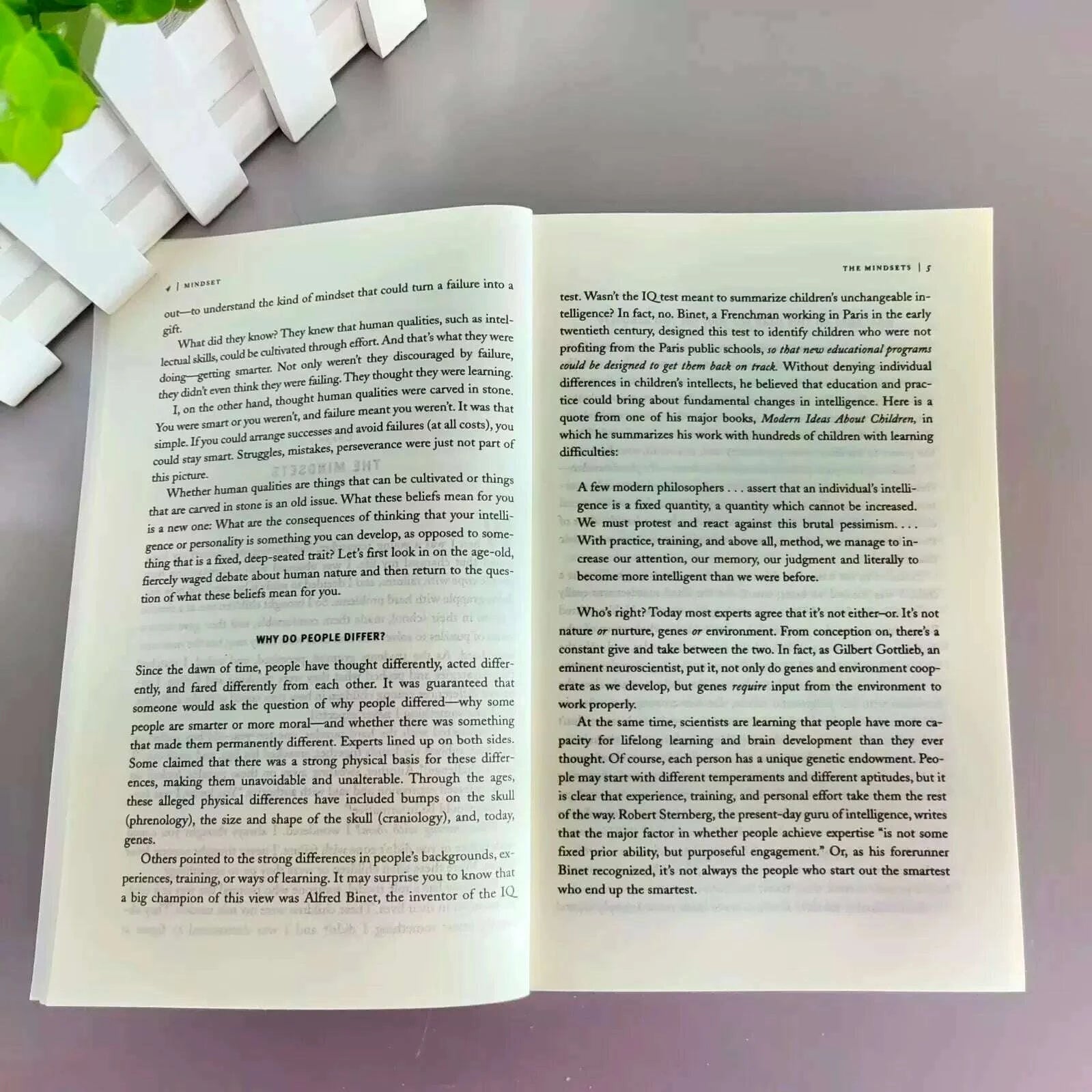 mindset-the-new-psychology-of-success-english-book-by-carol-s-dweck-foreign-literature-inspirational-book-kimlud-kimlud-33913936