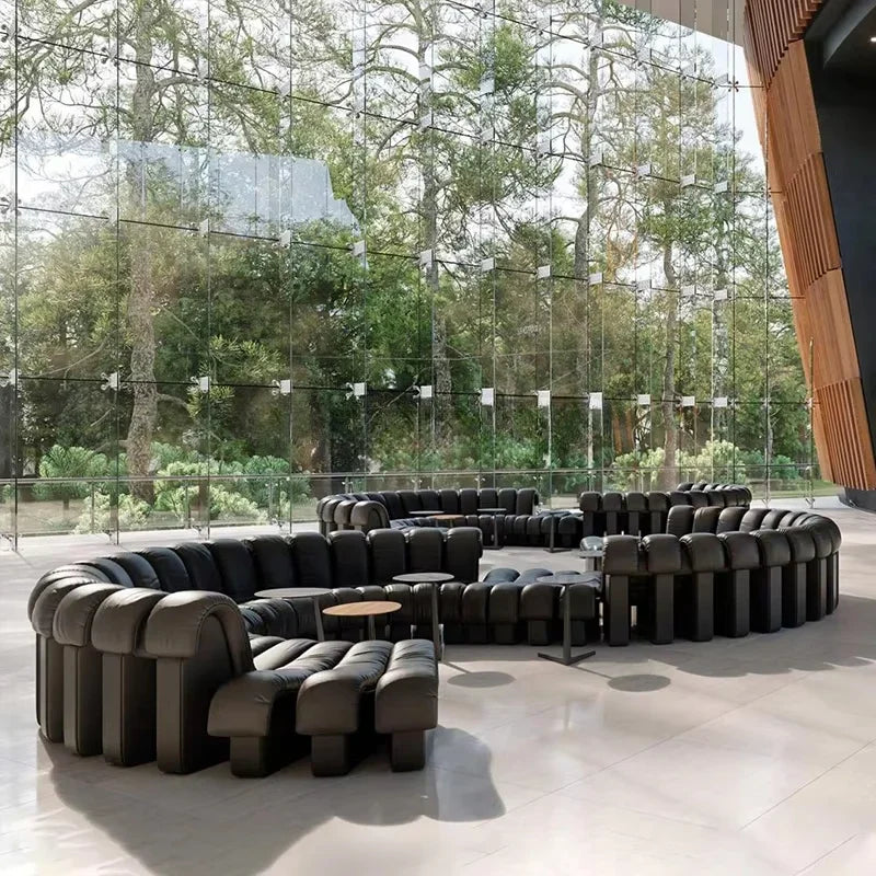 A Snake sofa furniture modular combination stretches freely