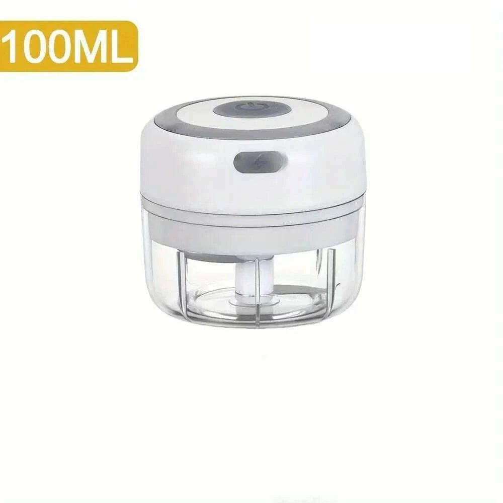 250ml-stainless-steel-electric-garlic-chopper-sturdy-durable-garlic-ginger-kitchen-shredder-mini-tool-food-chopperkimlud-womens-fashion-34615056