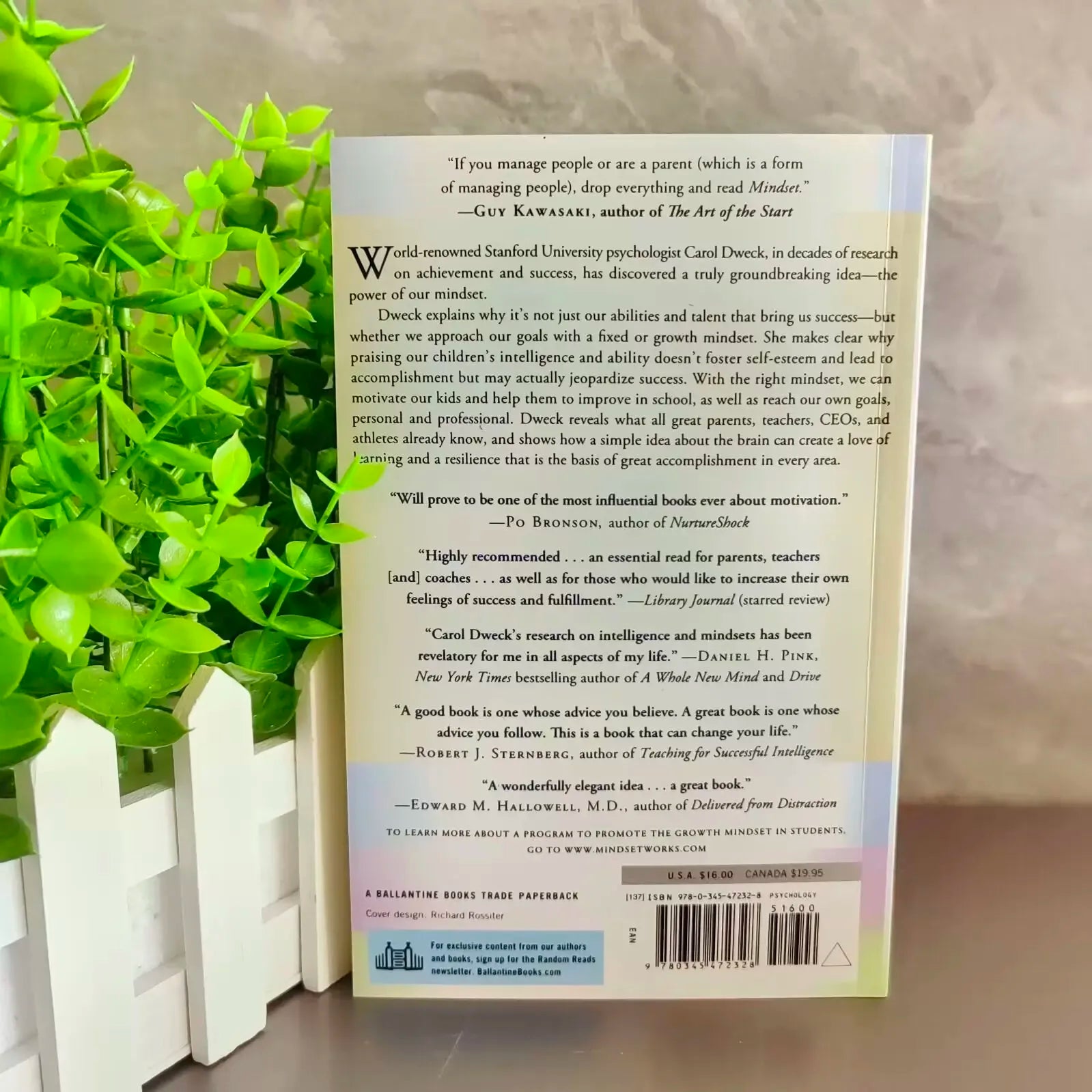 Mindset The New Psychology Of Success English Book by Carol S. Dweck Foreign Literature Inspirational Book