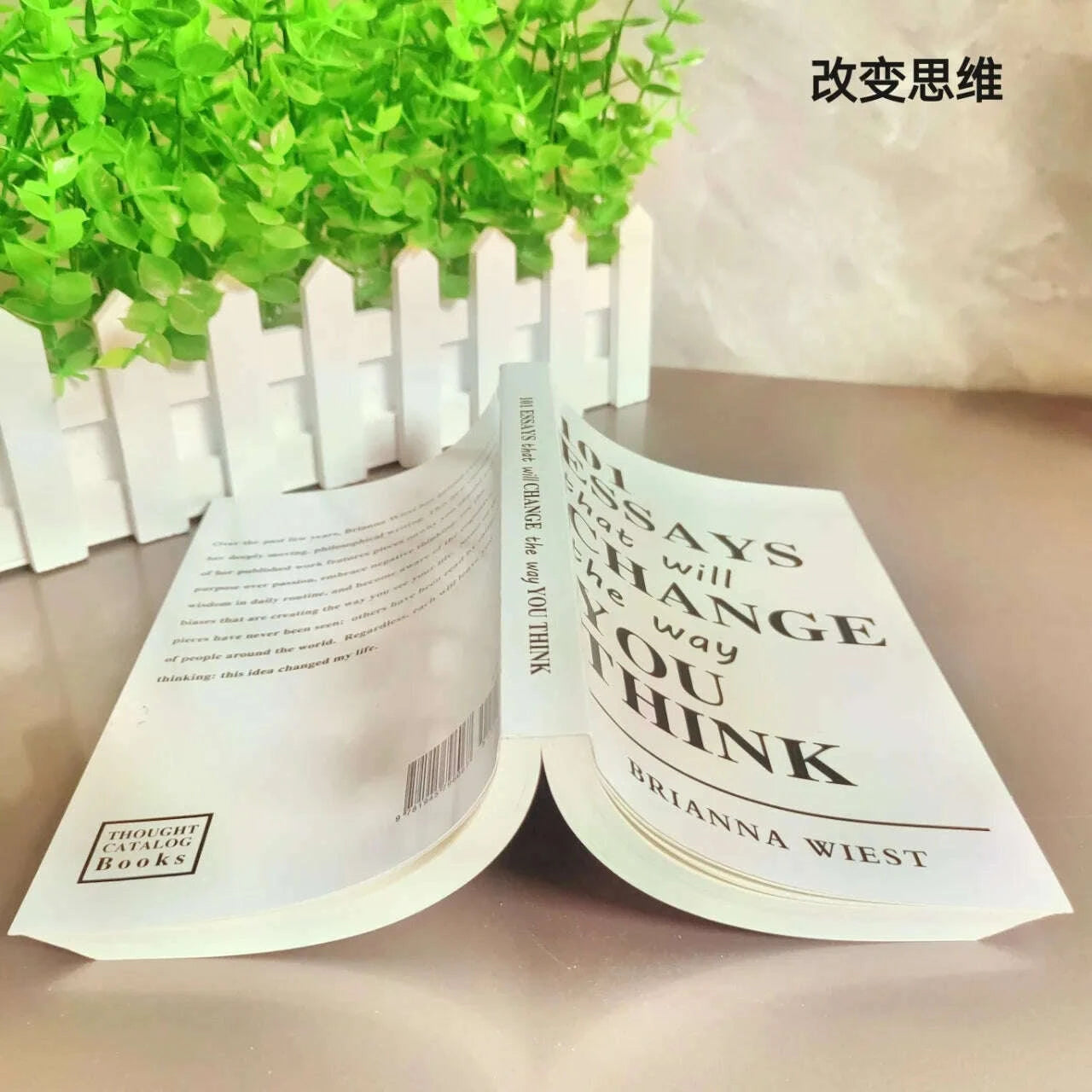 101-essays-that-will-change-the-way-you-think-paperback-english-book-kimlud-kimlud-33913963