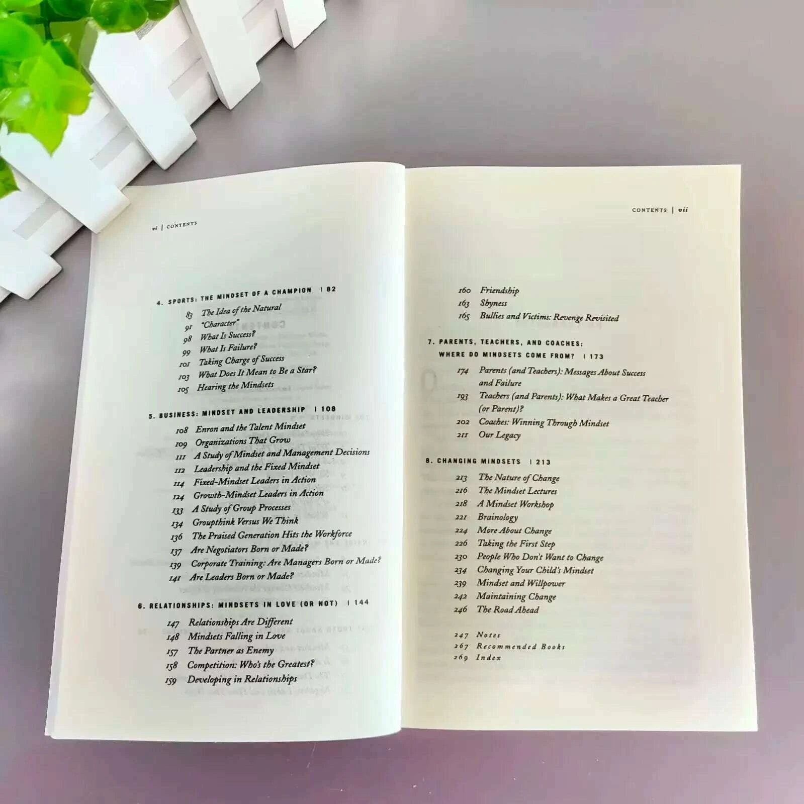 mindset-the-new-psychology-of-success-english-book-by-carol-s-dweck-foreign-literature-inspirational-book-kimlud-kimlud-33913937