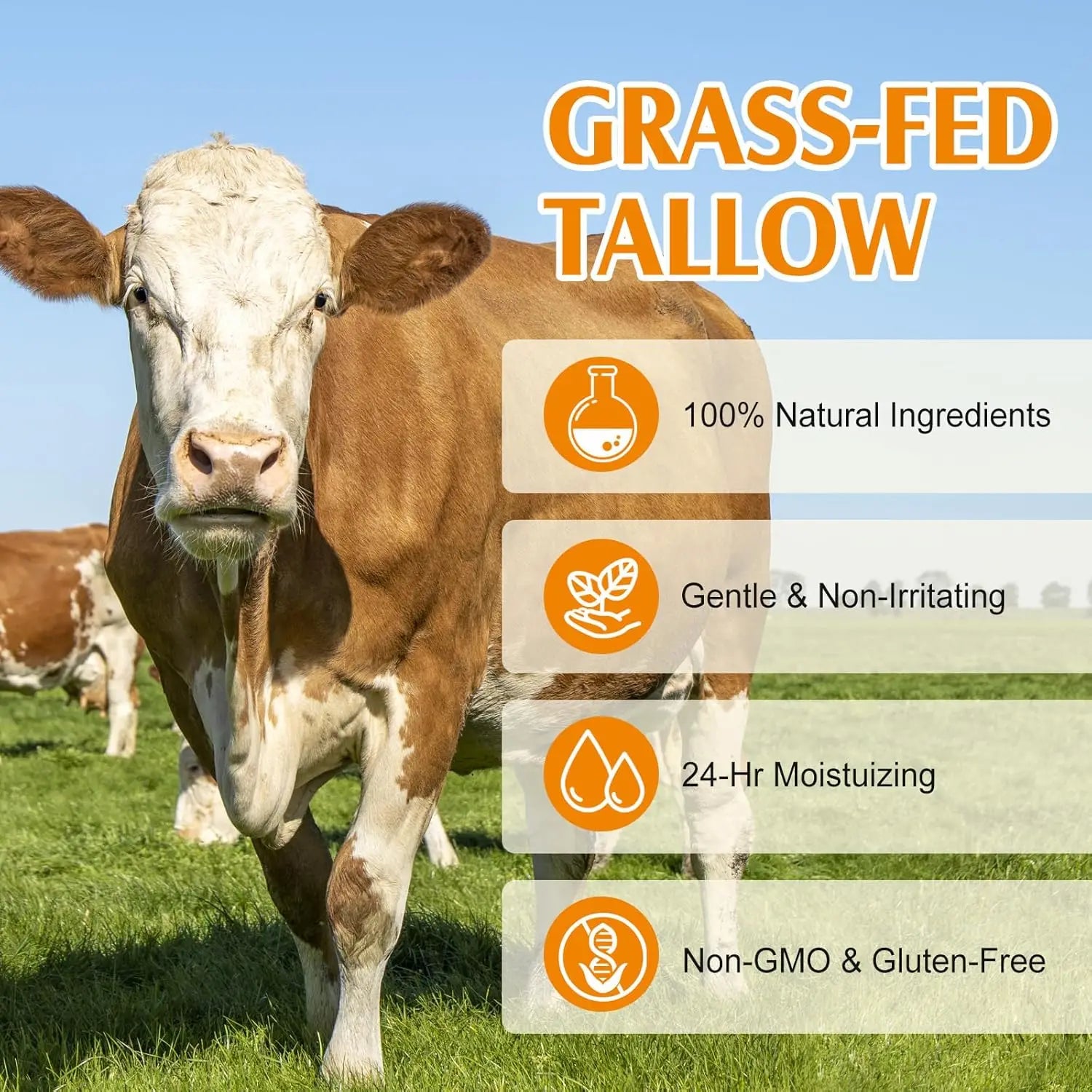 Beef Tallow Cream Hydrating With Honey — Ivory | KIMLUD