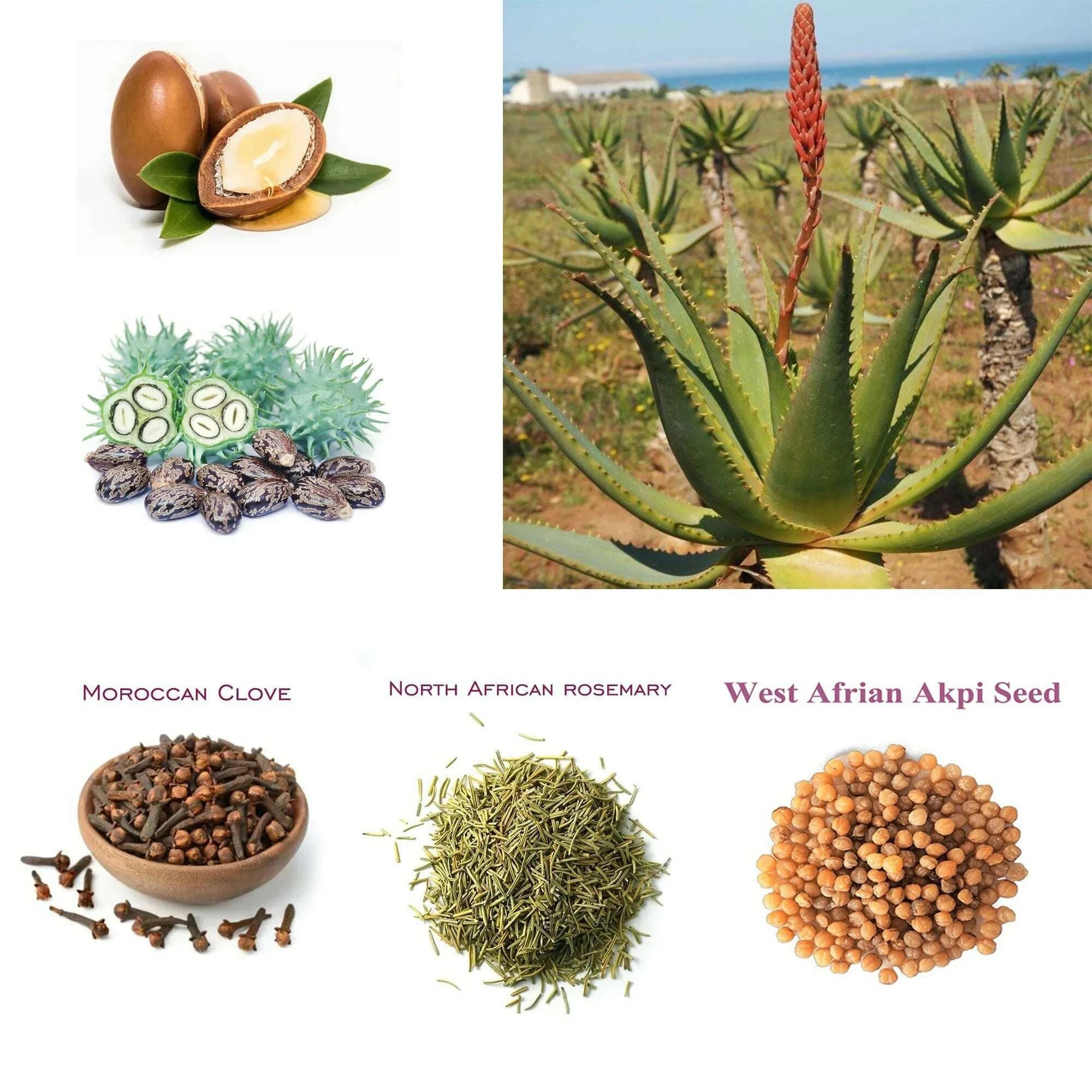 one-touch-to-gorgeous-with-african-traditionally-cold-pressed-layden-nourish-oil-scalp-hair-roots-strengtheningkimlud-womens-fashion-34617742