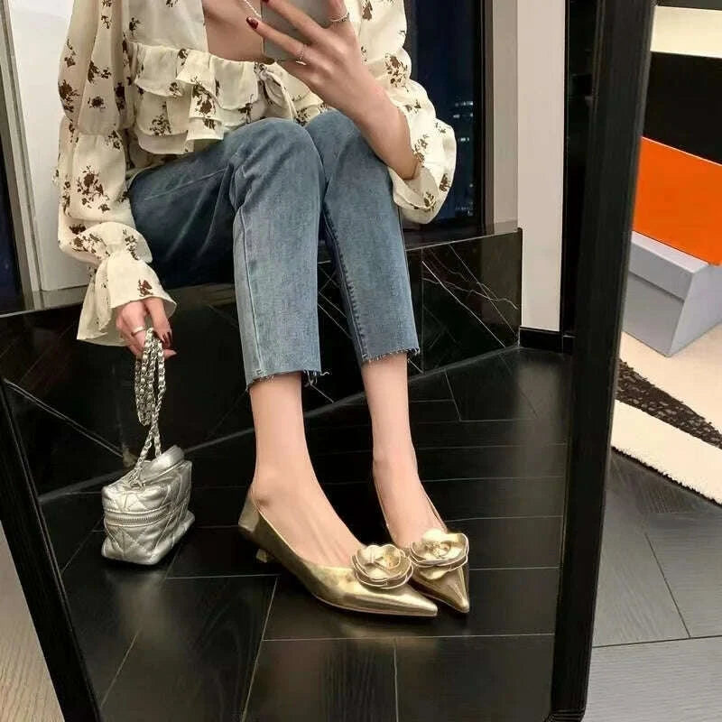 KIMLUD, Women Shoes High Heels Loafers Elegant Woman Shoes Low Heels Wedding Bride Pointed Toe Silver Gold Rose Evening Party Shoes, KIMLUD Womens Clothes