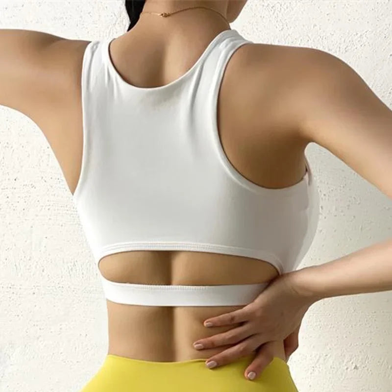 Knit Cloud Hide Sports Bra Crop Top With Pads — White | KIMLUD