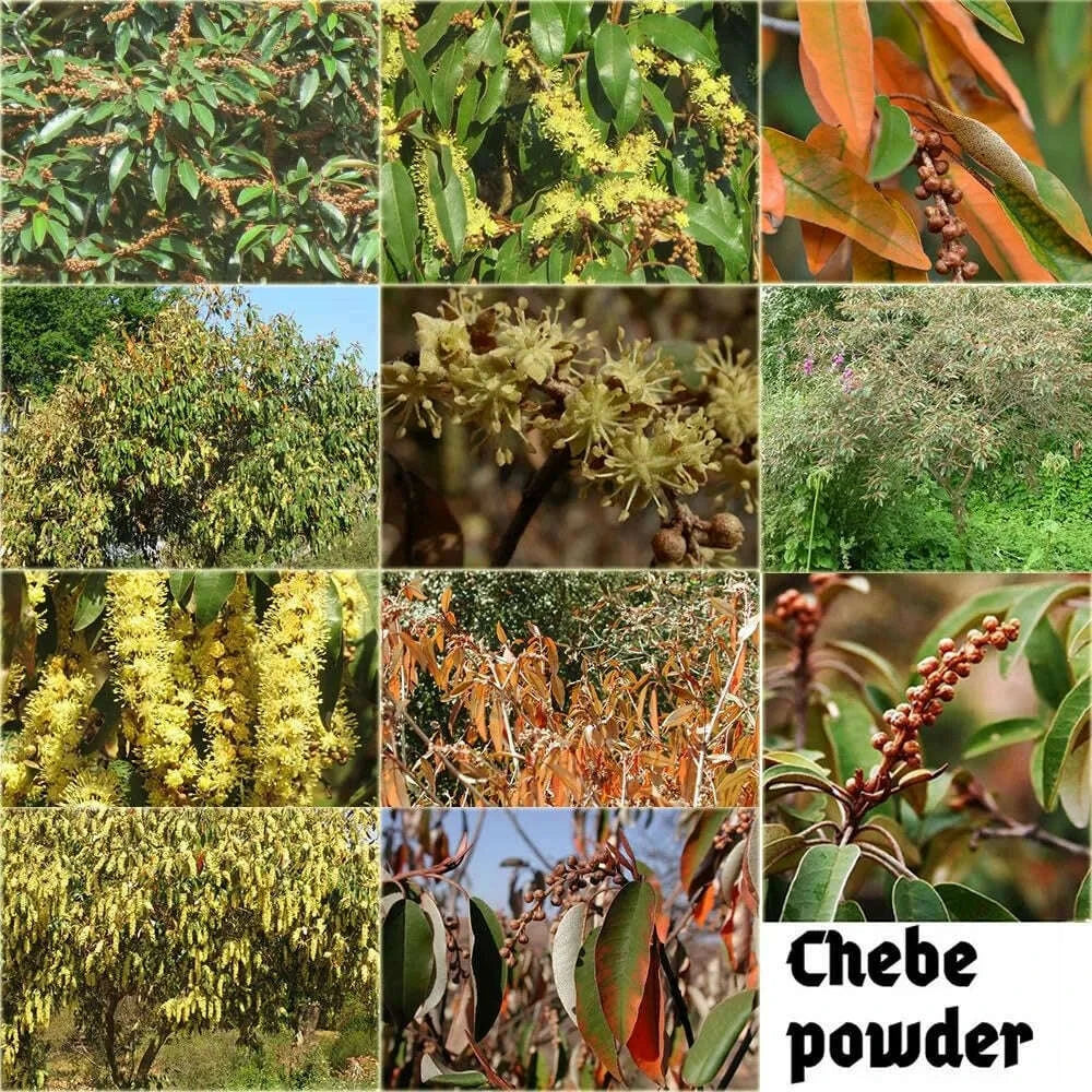 one-touch-to-gorgeous-with-african-traditionally-cold-pressed-layden-nourish-oil-scalp-hair-roots-strengtheningkimlud-womens-fashion-34617744