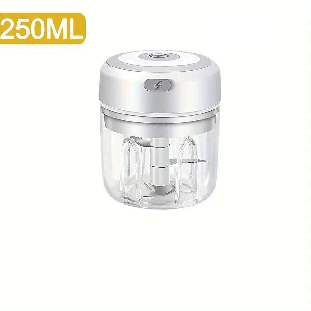 250ml-stainless-steel-electric-garlic-chopper-sturdy-durable-garlic-ginger-kitchen-shredder-mini-tool-food-chopperkimlud-womens-fashion-34615049