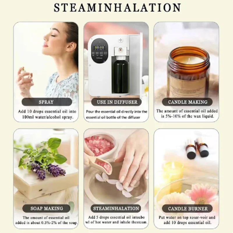 Hotel-Inspired Fragrance Oil Amber Warmth — Amber | KIMLUD