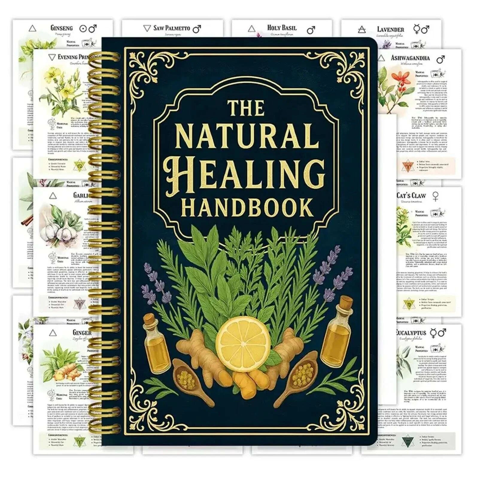 natural-healing-handbook-by-luna-filby-english-edition-health-guide-for-holistic-wellness-and-self-care-practitionerskimludkimlud-35576992
