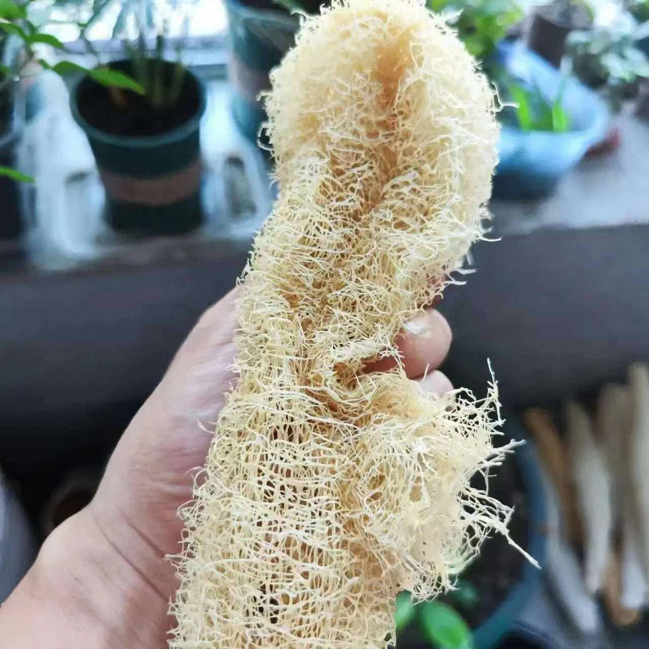 1pcs-natural-loofah-sponge-multi-purpose-cleaning-tool-for-kitchen-bathroom-scrubber-for-daily-cleansing-wash-body-scrubber-spakimludkimlud-35578486