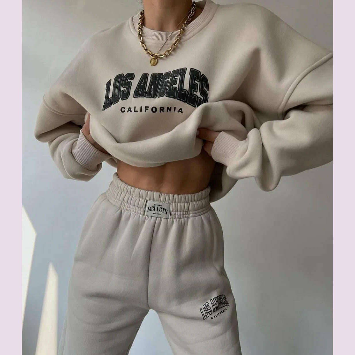 Casual Long Sleeve Hoodies Pants Set Office Lady Autumn Winter Print Sweatershirt Trousers Two Piece Set Women Outfit 2023 - KIMLUD