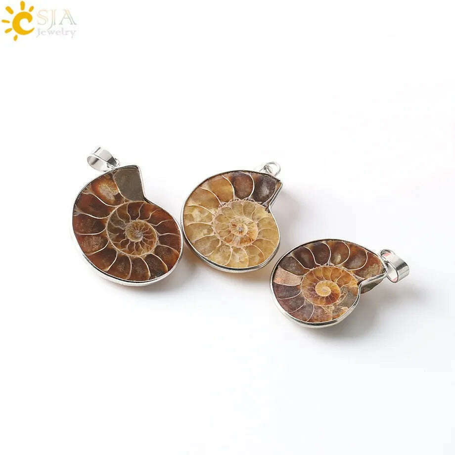 KIMLUD, CSJA Natural Stones Pendants Ammonite Seashell Snail  Ocean Reliquiae Conch Animal Necklace Statement Men Jewellery E252, KIMLUD Womens Clothes