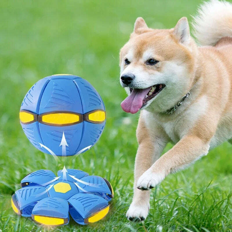Dog Toys Magic Funny Pet Toy Flying Saucer Outdoor Dog Training Toy Pelota Perro Dogs Accessoires Futurism Saucer Ball - KIMLUD