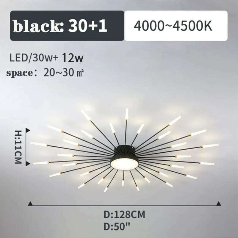Firework Shape Ceiling Lamp New Led Aisle Light for Study Room Bedroom Foyer Kitchen Indoor Lighting Villa Apartment Chandelier - KIMLUD