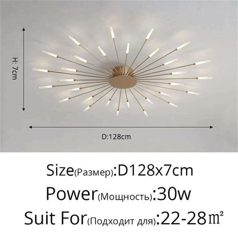 Firework Shape Ceiling Lamp New Led Aisle Light for Study Room Bedroom Foyer Kitchen Indoor Lighting Villa Apartment Chandelier - KIMLUD