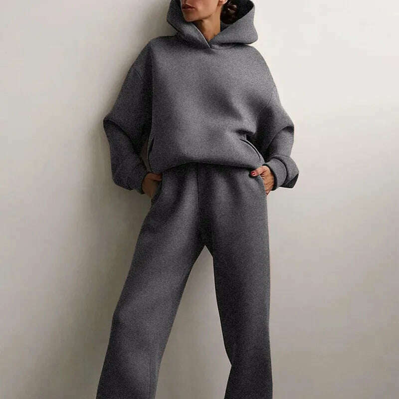 KIMLUD, Fleece-lined Tracksuits Women Casual Hoodies Sweatpants Solid Warm Suits Autumn Winter Pullover Sweatshirts Pants 2 Piece Set, Gray / S, KIMLUD APPAREL - Womens Clothes