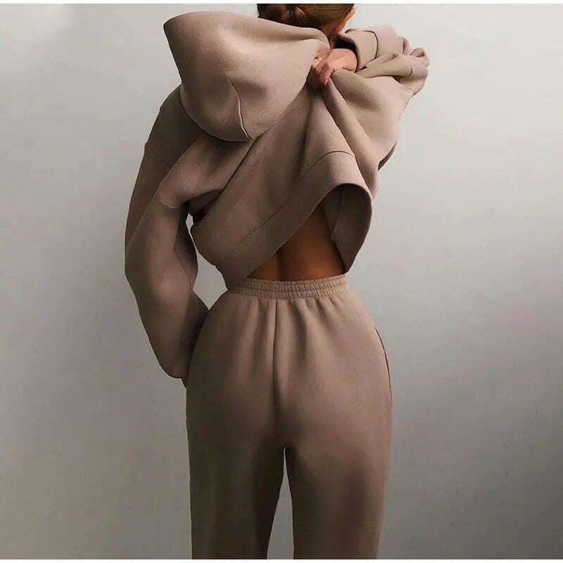 KIMLUD, Fleece-lined Tracksuits Women Casual Hoodies Sweatpants Solid Warm Suits Autumn Winter Pullover Sweatshirts Pants 2 Piece Set, KIMLUD Womens Clothes