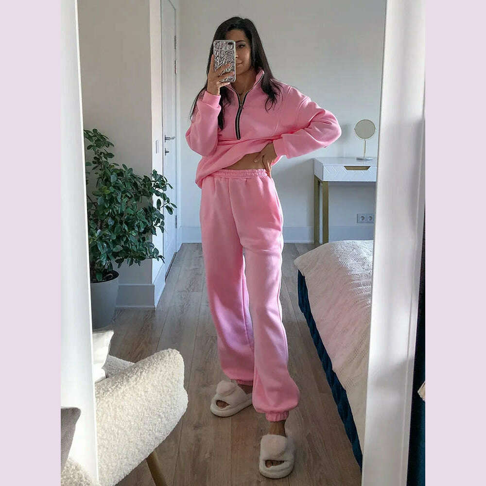 Gray Thick Warm Women Tracksuit 2 Piese Set Winter Pink Fleece Sweatpants And Sweatshirts Purple Suit Set Women Pants Set Ladies - KIMLUD