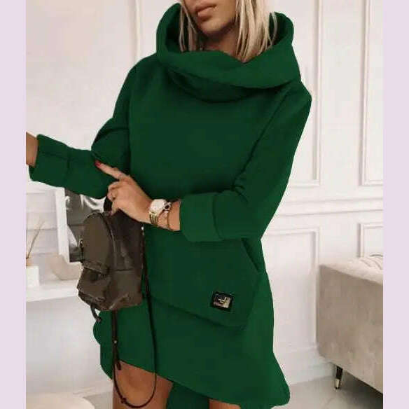 High Neck Long Sleeve Sweatshirt Casual Dress Women Autumn Winter Hoodie Fashion Loose Mini Dress Pockets - KIMLUD