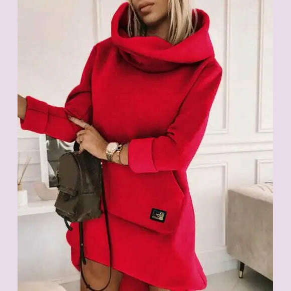High Neck Long Sleeve Sweatshirt Casual Dress Women Autumn Winter Hoodie Fashion Loose Mini Dress Pockets - KIMLUD