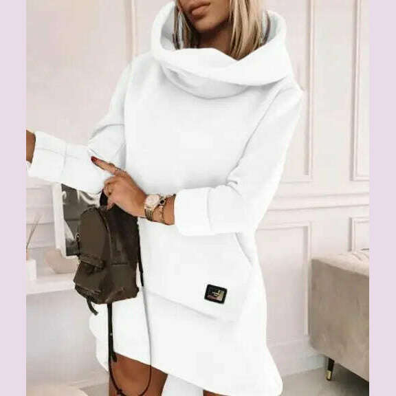 High Neck Long Sleeve Sweatshirt Casual Dress Women Autumn Winter Hoodie Fashion Loose Mini Dress Pockets - KIMLUD