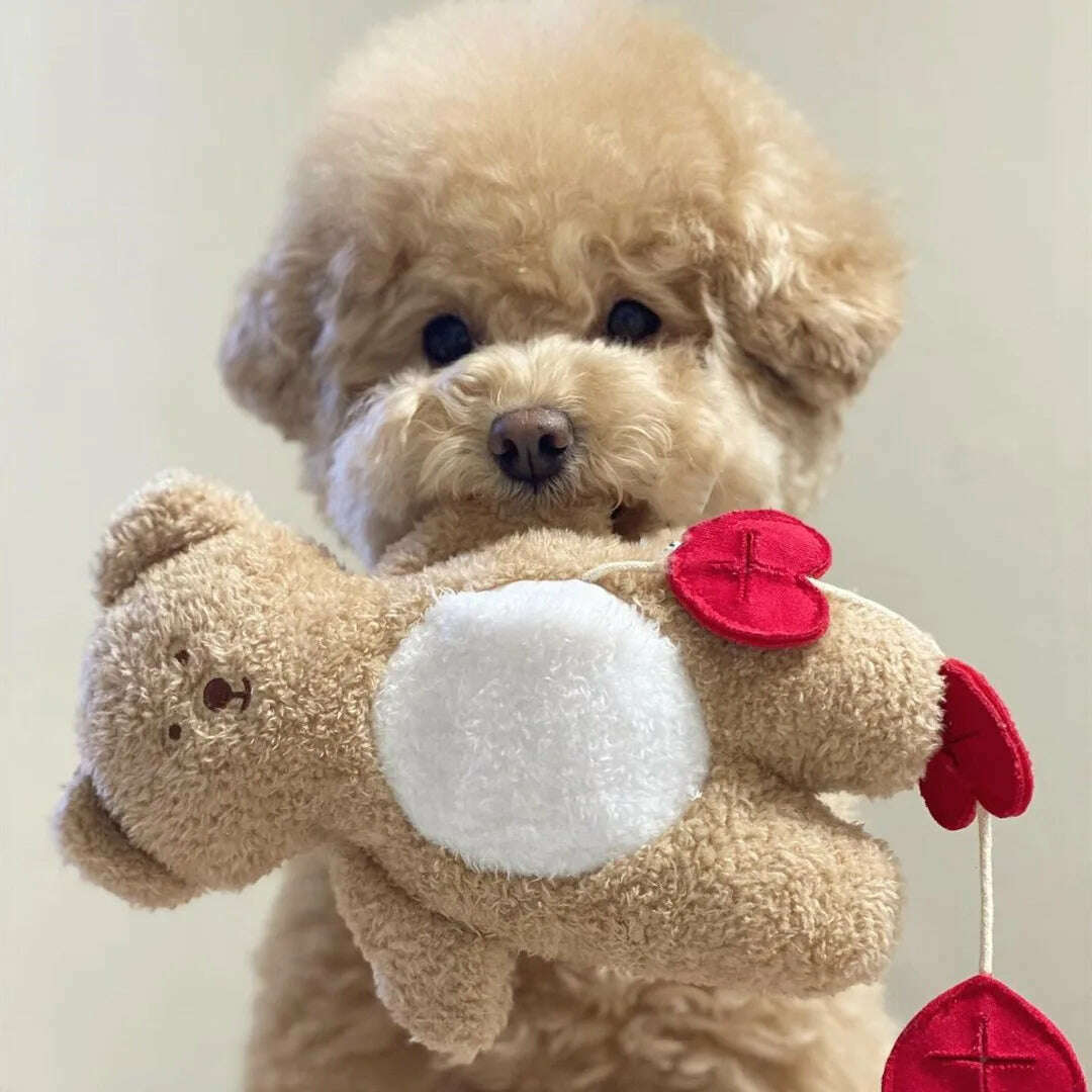 KIMLUD, INS New Korean Pet Toy Pocket Love Tibetan Food Bear Toys Sleeping Dog Toys Export Pet Paper Toys Soothing toys Dog toy, KIMLUD Womens Clothes