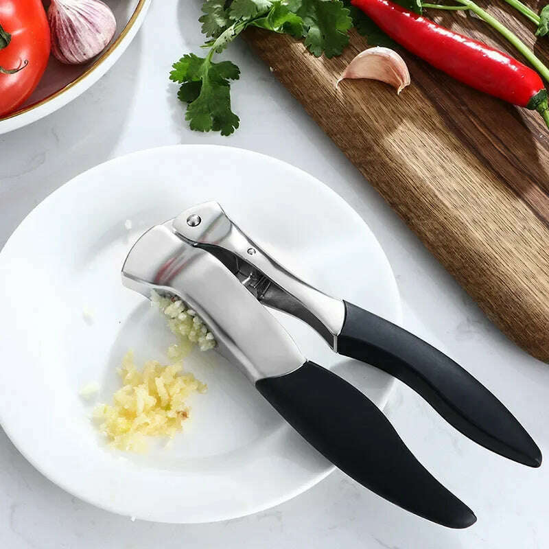 KIMLUD, Kitchen Garlic Press Manual Garlic Masher Stainless Steel Press Chopping Garlic Tool Vegetable Home Gadget Accessories, KIMLUD Womens Clothes