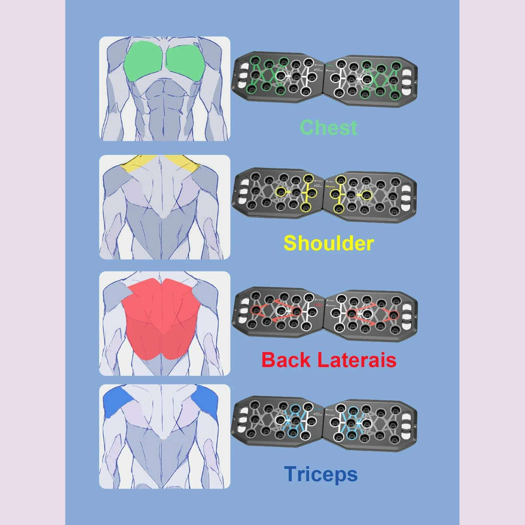 Push Up Board Multi-Function Push Up Bar Push up Handles Professional Home Workout Gym Equipment Strength Training - KIMLUD