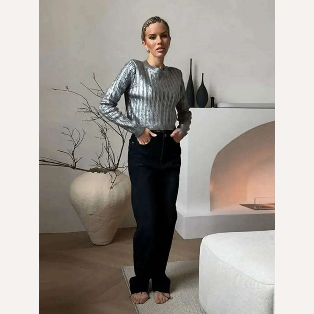 KIMLUD, Solid O Neck Pullover Top For Women Elegant Loose Long Sleeve Gold Sweatshirt 2023 Autumn Female Fashion Casual Shinny Outerwear, Silver 2 / S, KIMLUD APPAREL - Womens Clothes