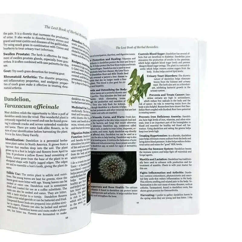 KIMLUD, The Lost Book Of Herbal Remedies English Book The Healing Power Of Plant Medicine Powerful Natural Remedies, KIMLUD Womens Clothes