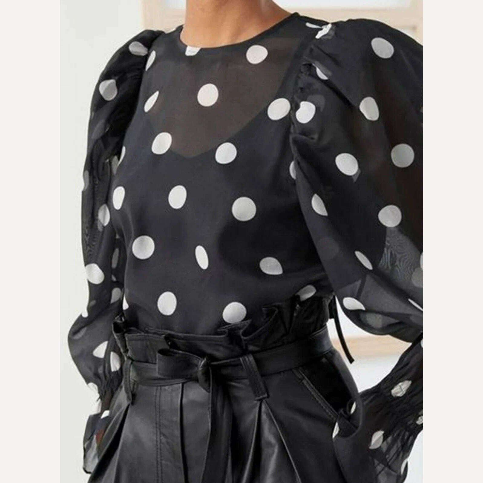 Women Fashion Casual Sexy Elegant Long Sleeve Round Neck Mesh Polka Dot Lantern Sleeve Loose Blouses Shirts Vintage Tops 2024 - KIMLUD
