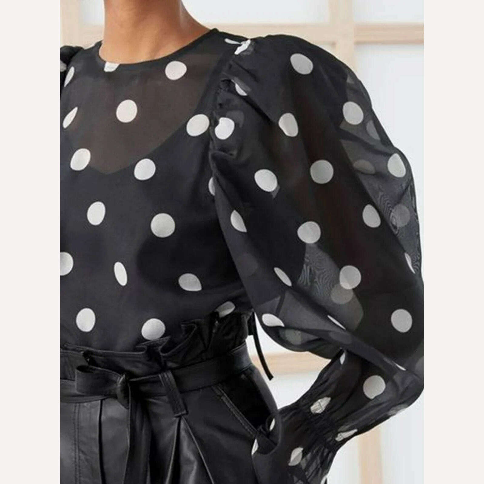 Women Fashion Casual Sexy Elegant Long Sleeve Round Neck Mesh Polka Dot Lantern Sleeve Loose Blouses Shirts Vintage Tops 2024 - KIMLUD