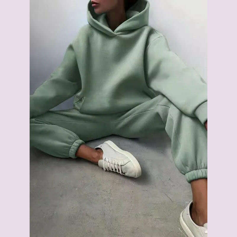 Women Tracksuit Hoodies Casual Solid Long Sleeve Fleece Warm Hooded Sportswear Suit Hoody Pullovers Long Pant Two Pieces Sets - KIMLUD