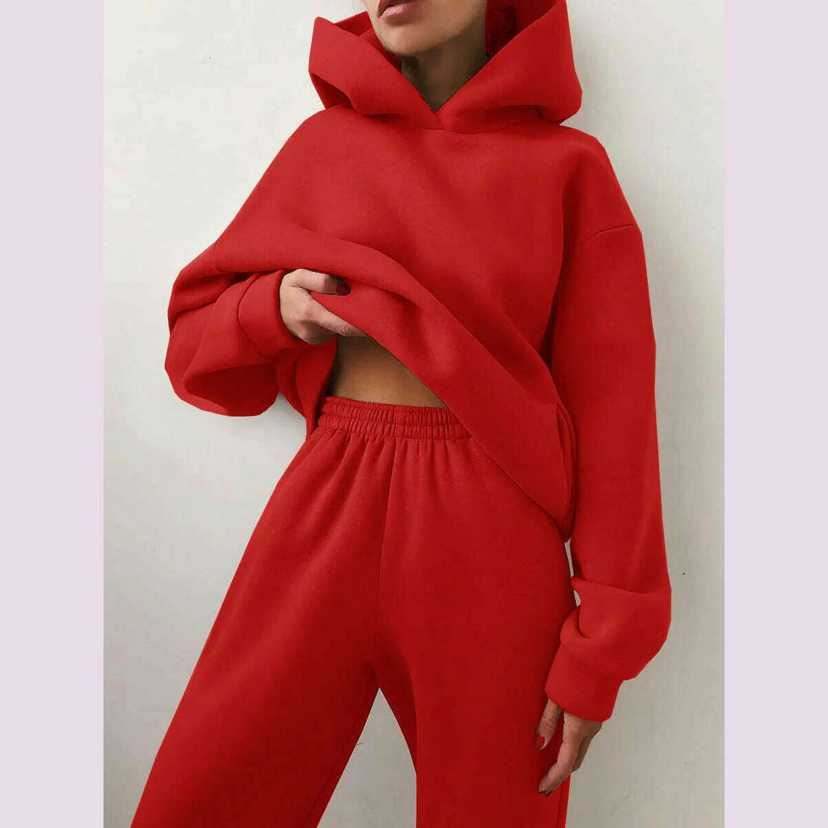 Women Tracksuit Hoodies Casual Solid Long Sleeve Fleece Warm Hooded Sportswear Suit Hoody Pullovers Long Pant Two Pieces Sets - KIMLUD
